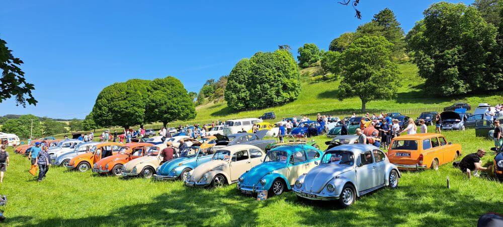 VW Car Rally Returns To Stonor Park For End-of-half-term Day Out